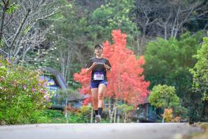 BIB: 
                            <button type="button" onclick="openModal(19238921)" class="btn btn-primary btn-sm float-right btn-popup" data-toggle="modal" data-target=".modal-high-quality">
                        <i class="fas fa-shopping-cart"></i> Add to Cart
                    </button>
                                            <button type="button" onclick="isThisMe(19238921, true)" class="btn btn-success btn-sm float-right btn-popup btn-isme hidden" data-toggle="tooltip" data-placement="bottom" title="นี่คือรูปของคุณใช่ไหม คลิกที่นี่เพื่อเอาเข้าอัลบั้ม">
                        <i class="fas fa-plus"></i> Add to album
                    </button>
                    <button type="button" onclick="isThisMe(19238921, false)" class="btn btn-warning btn-sm float-right btn-popup btn-isnotme hidden">
                        <i class="fas fa-ban"></i> Remove from album
                    </button>